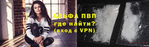 амф Белокуриха