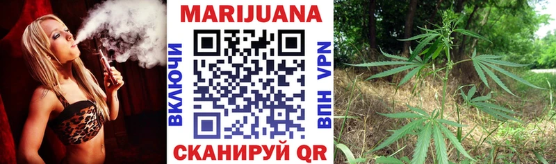 Бошки марихуана THC 21%  Купить где  Вышний Волочёк 